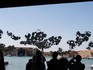 biennale di venezia 2019