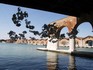 biennale di venezia 2019